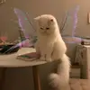 marjorie🦋 - @marjorie_barth - TikTok