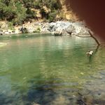Marjorie Bartlett - @bartlett_marjorie - Instagram