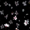 Marie Baumbach - @baumbach.88 - TikTok