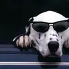 Marjorie Bach - @marjorie.bach - TikTok