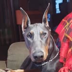 Marjorie Beamish - @ratherbtruckin - Instagram