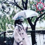 Marjorie Bruno - @vsf982ghecd8h - Instagram