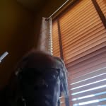 Marjorie Bryant Newton - @marjoriebryantnewton - Instagram