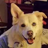 Marjorie Buckingham - @marjorie.buckingh - TikTok