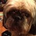 Marjorie Soullier - Facebook