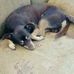Marjorie Buckner - Facebook