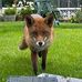 Marjorie Callanan - Facebook