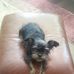 Marjorie Carmichael - Facebook