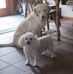 Marjorie Carnes Carnes - Facebook