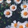 marjorie castro - @itz.marjorie - TikTok