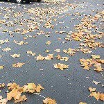 Marjorie Chang - @marjorie_chang123 - Instagram