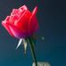 Marjorie Chavez - Facebook