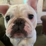 Marjorie Cheatham - @marj.a.cheatham - Instagram