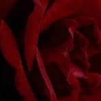 Marjorie Cheatham - Facebook