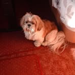Marjorie Cheetham - Facebook
