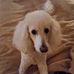 Marjorie Compton - Facebook