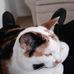 Marjorie Conover - Facebook
