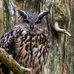 Marjorie Conover - Facebook
