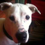 Maggie Coyne - @marjoriecoyne - Instagram