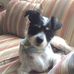 Marjorie Craddock - Facebook
