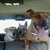 Marjorie Cusick - Facebook
