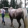 marjoriedaigle1307 - @marjoriedaigle130 - TikTok