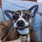 Winifred Juniper Marjorie Baxter Dalton - @winifredjuniper - Instagram