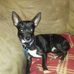Marjorie Dill - Facebook