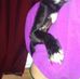 Marjorie Dill - Facebook