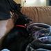 Marjorie Dill - Facebook