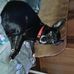 Marjorie Dill - Facebook