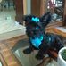 Marjorie Dillon - Facebook