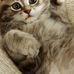 Marjorie Diaco - Facebook