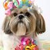 Marjorie Evert - Facebook