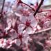 Marjorie Eddy - Facebook