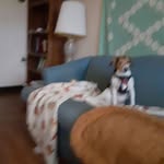Marjorie Ruegger - @marjorieruegger - Instagram