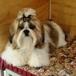 Marjorie Fair - Facebook