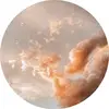 Marie Feuerstein - @marie._.feuerstein - TikTok