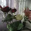 Marjo - @marjoriefeuerstei - TikTok