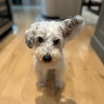 Marjorie Fields - @margie_fields - Instagram