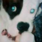 Marjorie Fox - Facebook