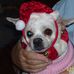 Marjorie Galloway - Facebook