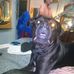 Marjorie Garrison - Facebook