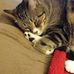 Marjorie Garrison - Facebook