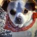 Marjorie Garrison - Facebook