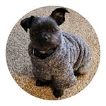Marjorie Glick - @margieleeg2213 - Instagram