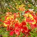 Marjorie Goddard - Facebook