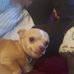 Marjorie Greer - Facebook