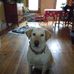Marjorie Greer - Facebook