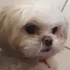 Marjorie Greer - @marjorie.greer - TikTok